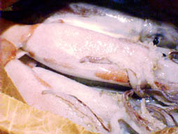 fish10052.JPG