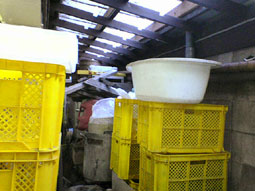 soco01282.JPG