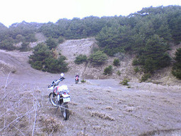 06oarai14.jpg