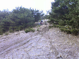 06oarai15.jpg