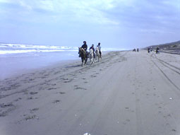 06oarai20.jpg