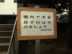 080302daso02.JPG