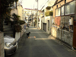 080302daso05.JPG