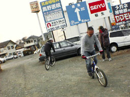 080302torachari02.JPG