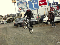 080302torachari04.JPG