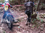 090921miyama1s4.JPG