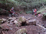 090921miyama1s5.JPG