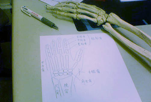 091019hone2.JPG