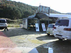 endoshop01.JPG