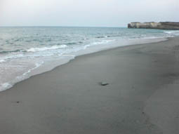 tomioka0704301.JPG