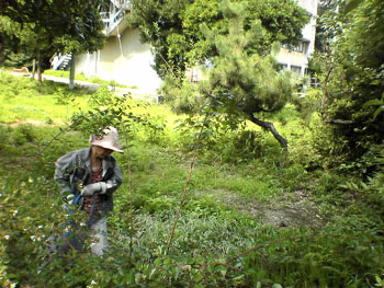 080802todairyo.JPG