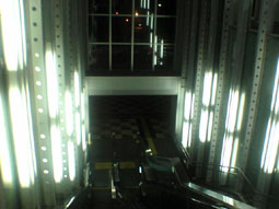 080806toneri1.JPG