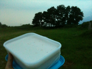 image-20100803185147.png
