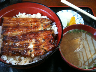 image-20100804082010.png