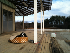 image-20110105221621.png