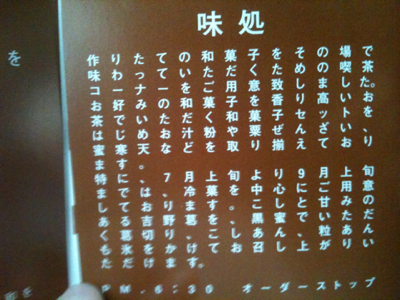image-20110528171449.png