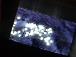 2607mayu09.jpg
