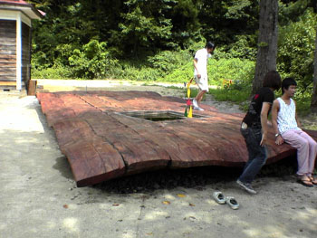 2610woodd01.jpg