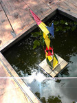 2610woodd02.jpg
