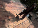 2610woodd03.jpg