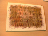 2611flot03.jpg