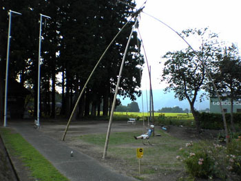 2613swing01.jpg