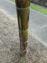 2613swing02.jpg