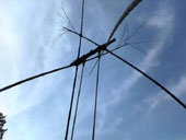 2613swing03.jpg