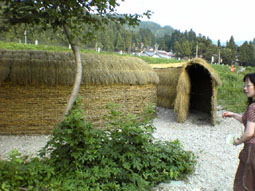 2615Cicle01.jpg