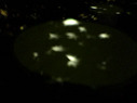 2616star02.jpg