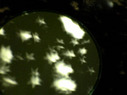 2616star03.jpg
