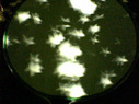 2616star04.jpg