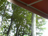 2701midori03.jpg