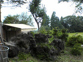 2701midori05.jpg