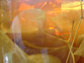 2704furo05.jpg