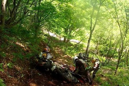 15201241_2216883730_201large.jpg