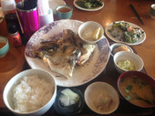 2013-05-02 13.48.36.jpg