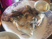 2013-05-02 13.48.43.jpg