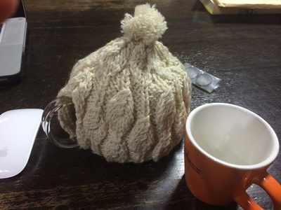 2017-01-06 20.49.17.jpg