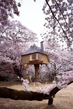fujimoriterunobu02.jpg
