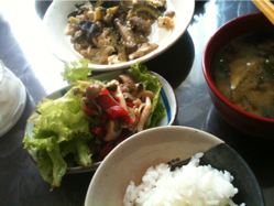 image-201006165203444.png