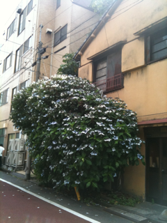 image-20100625140310.png