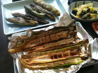 image-20100628080934.png