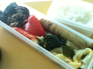 image-20100706125824.png