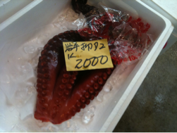 image-20100714194424.png