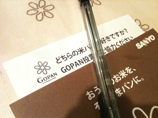 image-20100727092952.png