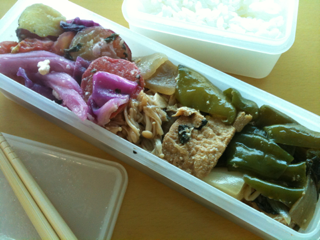 image-20100727210237.png