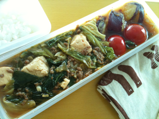 image-20100727211104.png