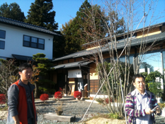 image-20101126131323.png