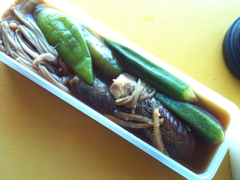 image-20101208004623.png
